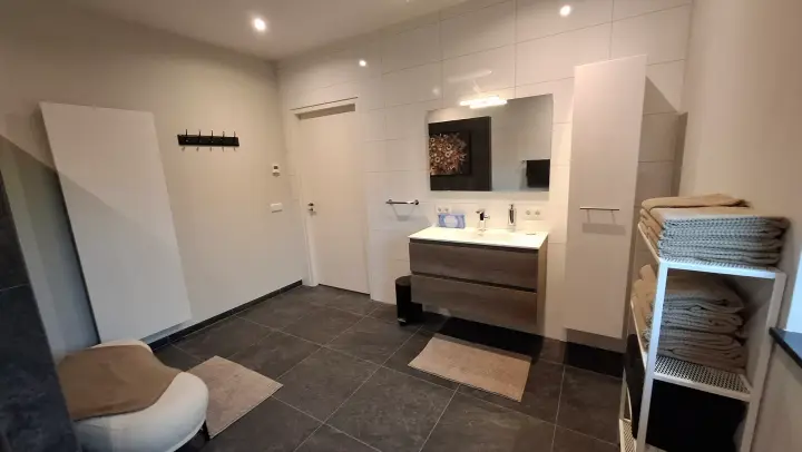 Compleet overzicht van de badkamer met douche en wastafel